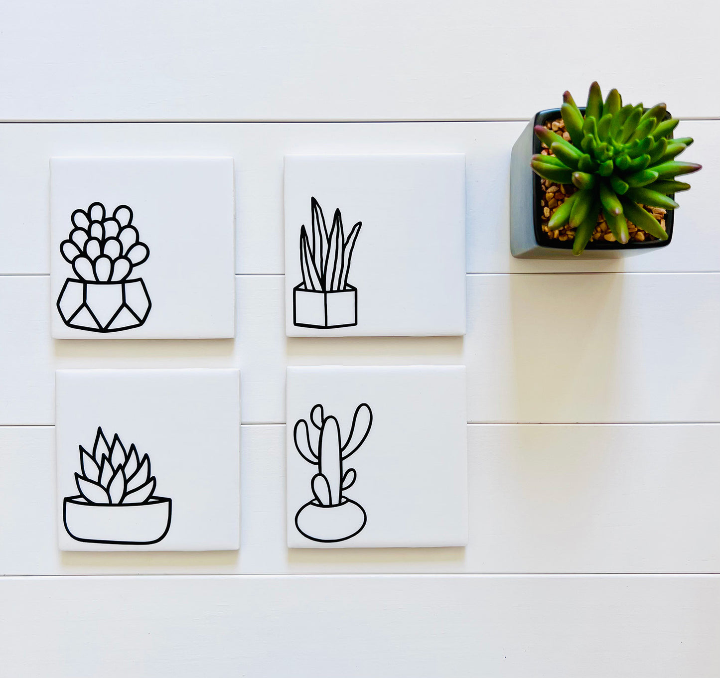 Decorative Coaster Set - Succulents with Holder
